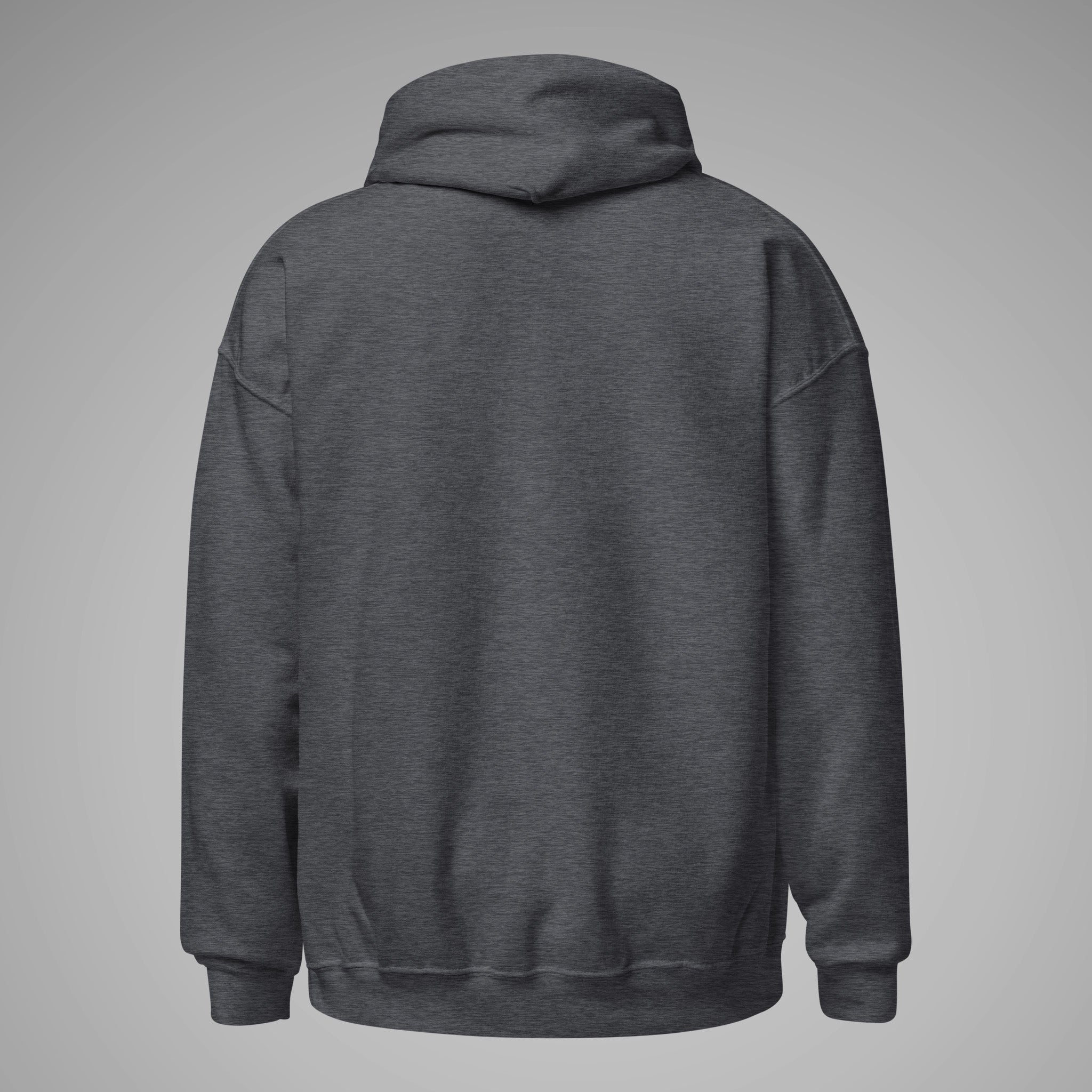 Basic_Hoodie SPARS Logo Dark Heather Back View 1 