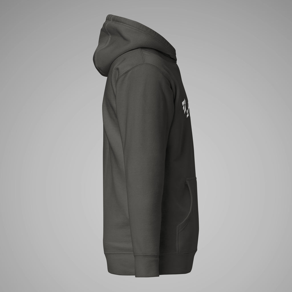 Premium Pullover Hoodie BJJ KATAKANA Vintage Black Left View 1