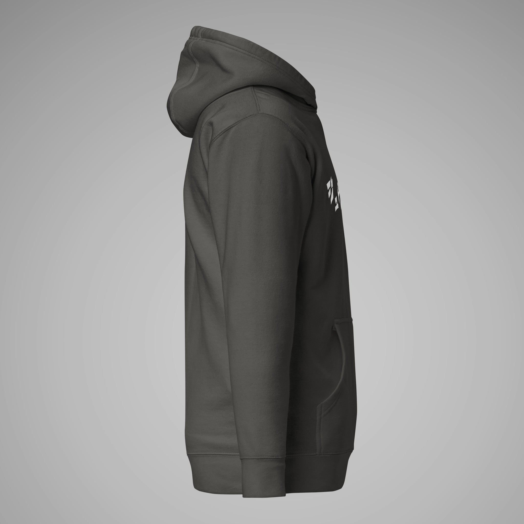 Premium Pullover Hoodie BJJ KATAKANA Vintage Black Left View 1