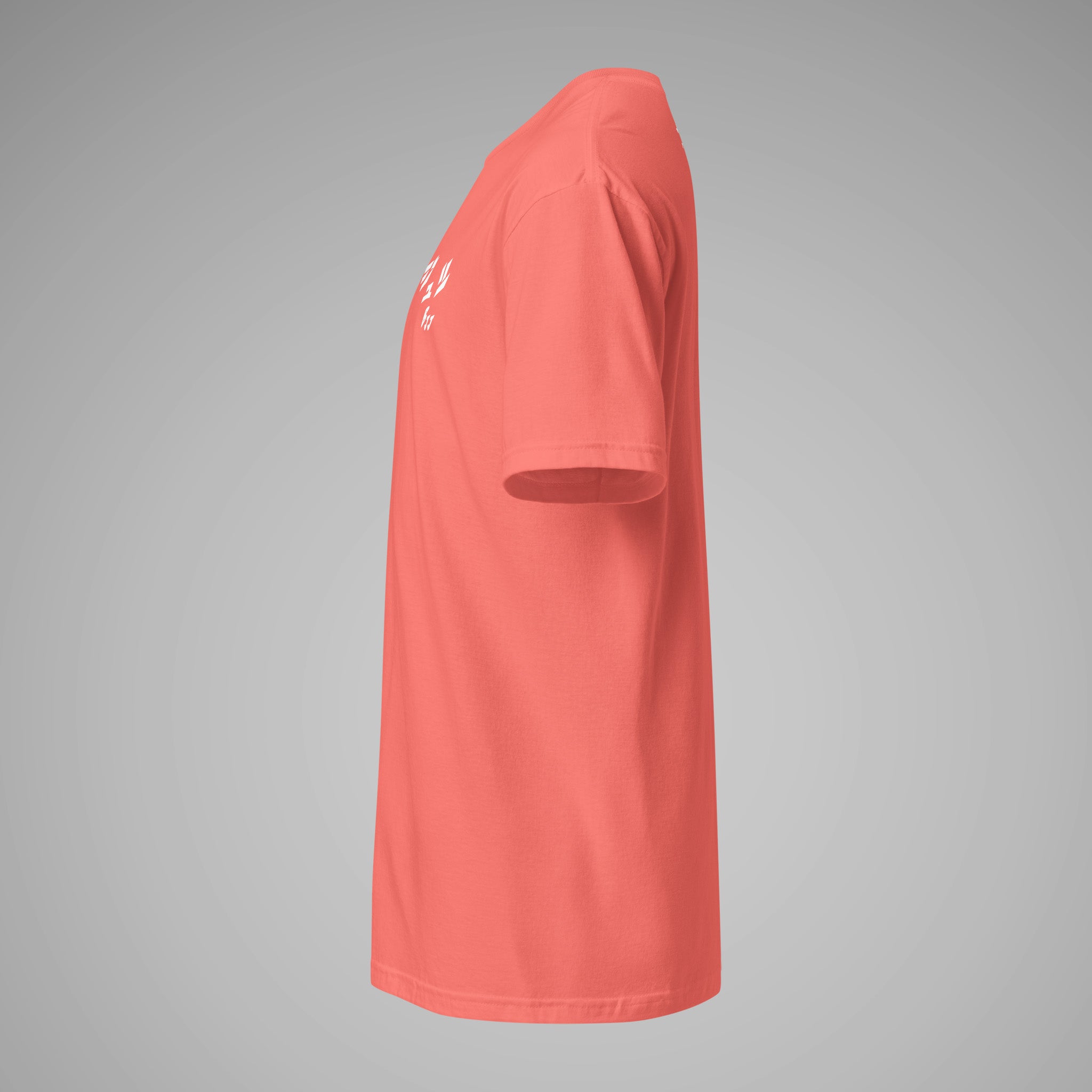 Women's BJJ KATAKANA Daily Tee_coral-silk_left_2