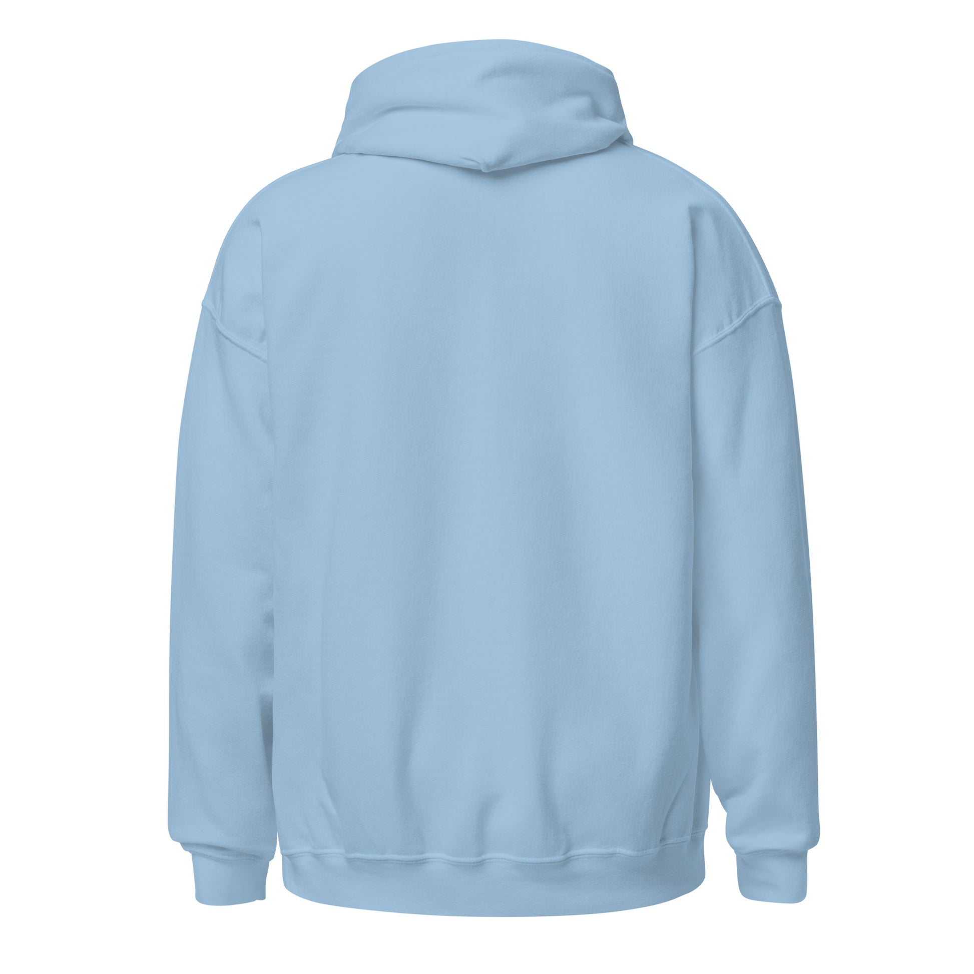 Unisex SPARS Light Blue basic logo hoodie - back placement